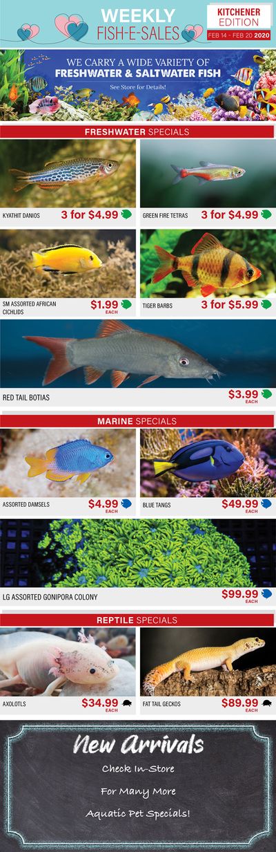 Big Al's (Kitchener) Weekly Specials February 14 to 20