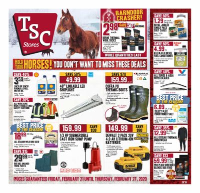 TSC Stores Flyer February 21 to 27