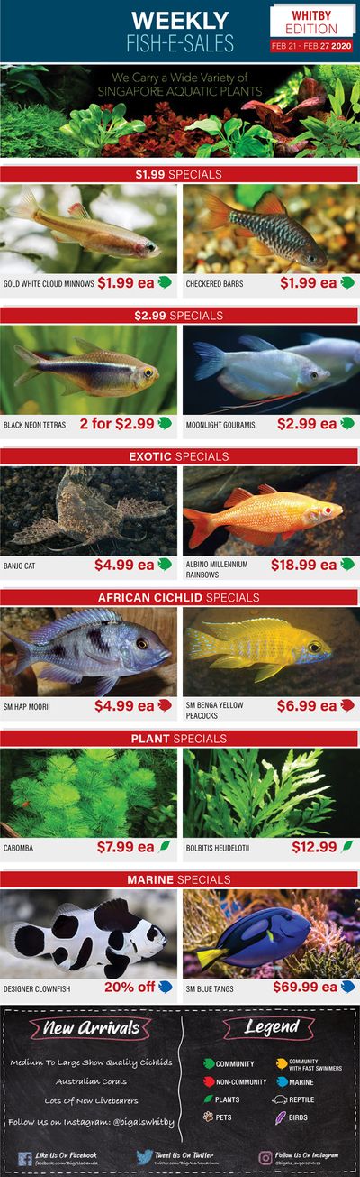 Big Al's (Whitby) Weekly Specials February 21 to 27