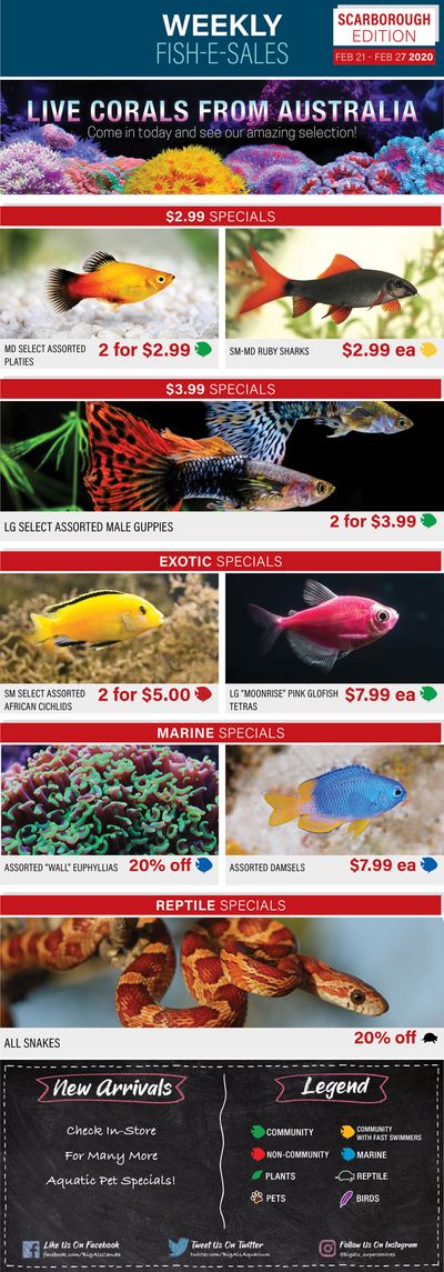 Big Al's (Scarborough) Weekly Specials February 21 to 27