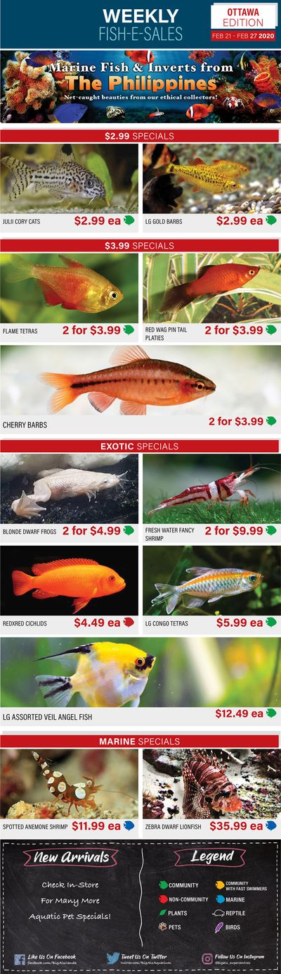 Big Al's (Ottawa East) Weekly Specials February 21 to 27