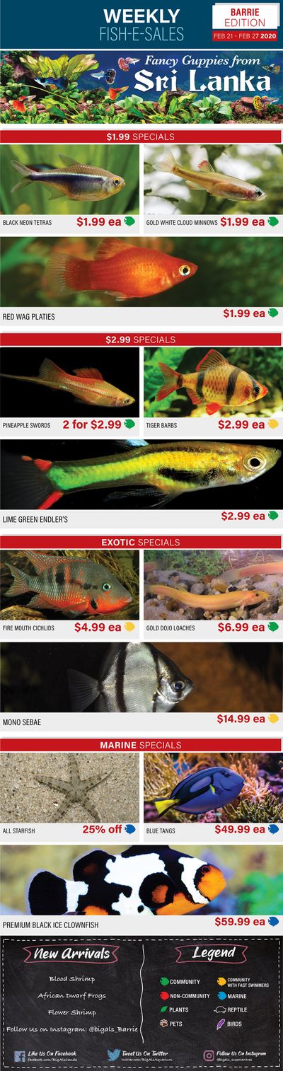 Big Al's (Barrie) Weekly Specials February 21 to 27