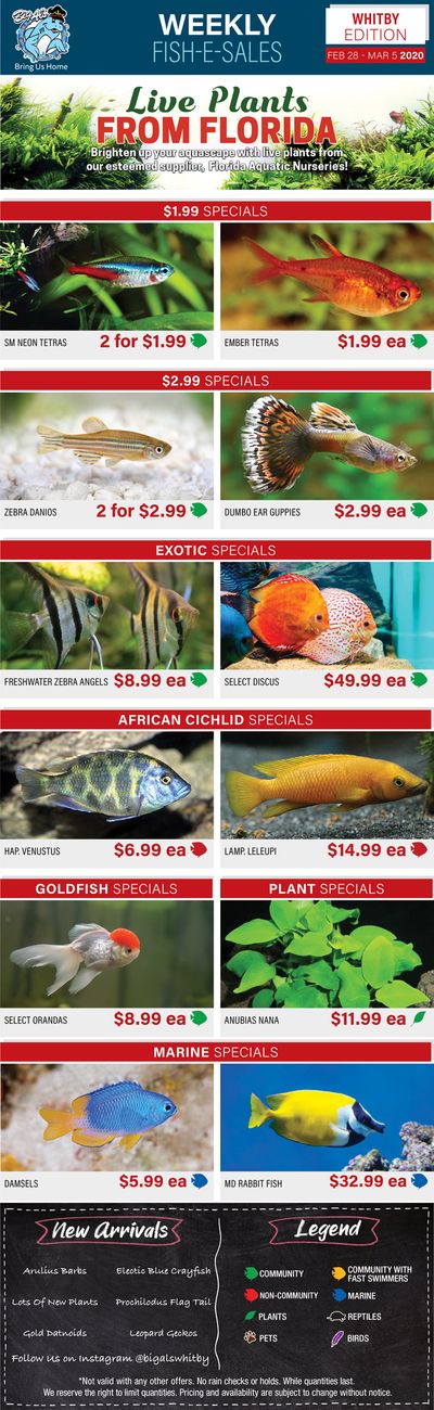 Big Al's (Whitby) Weekly Specials February 28 to March 5