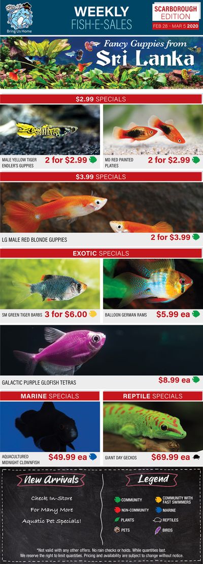 Big Al's (Scarborough) Weekly Specials February 28 to March 5