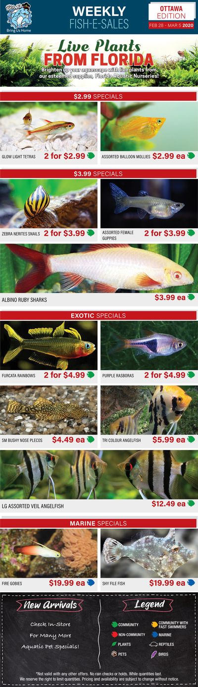 Big Al's (Ottawa East) Weekly Specials February 28 to March 5