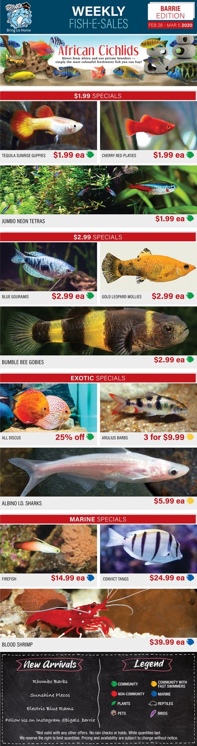 Big Al's (Barrie) Weekly Specials February 28 to March 5