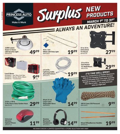 Princess Auto New Surplus Items Flyer March 1 to 31