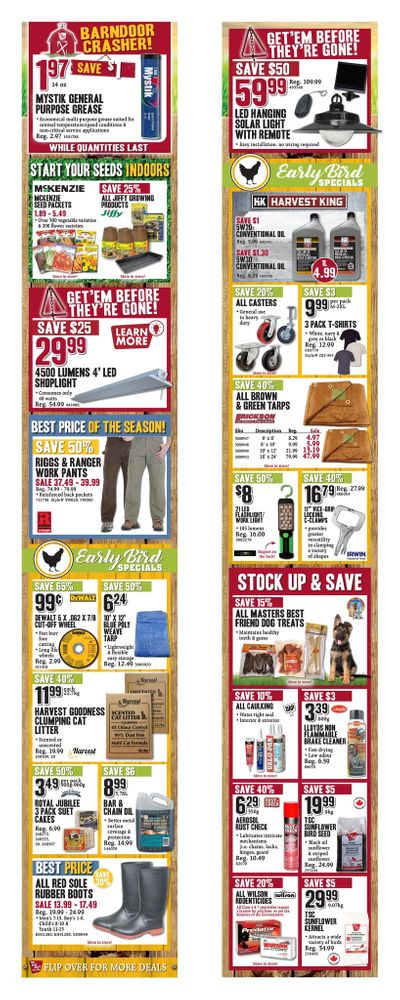 TSC Stores Flyer March 6 to 12