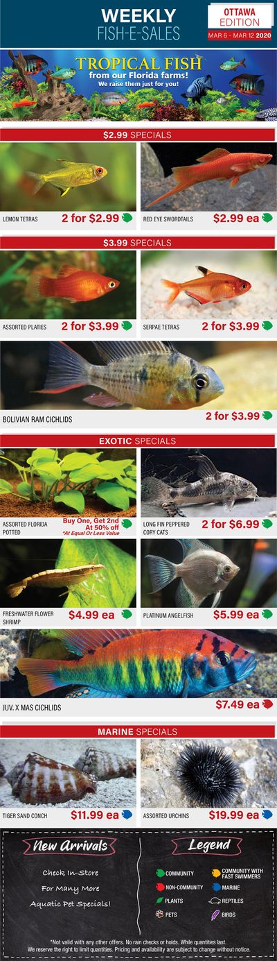 Big Al's (Ottawa East) Weekly Specials March 6 to 12