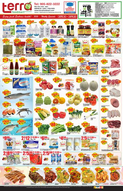 Terra Foodmart Flyer April 16 to 22