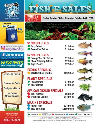 Big Al's (Whitby) Weekly Specials October 18 to 24