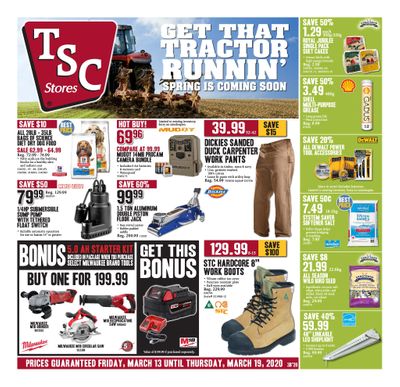TSC Stores Flyer March 13 to 19