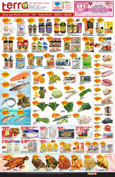 Terra Foodmart Flyer May 14 to 20