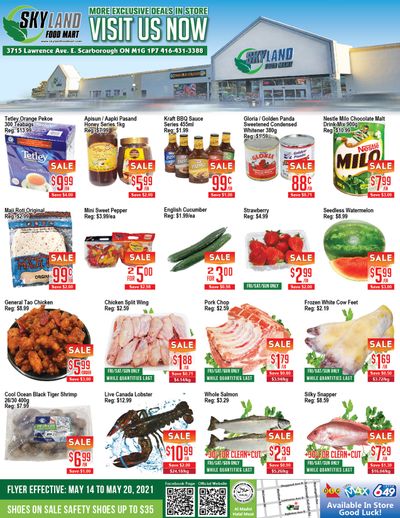 Skyland Food Mart Flyer May 14 to 20