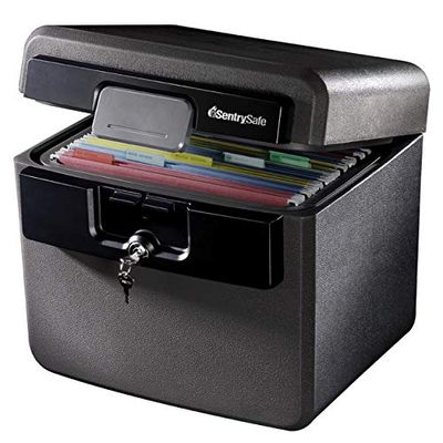SentrySafe Fire and Water Safe, Fire Resistant File Safe, 0.65 Cubic Feet, HD4100