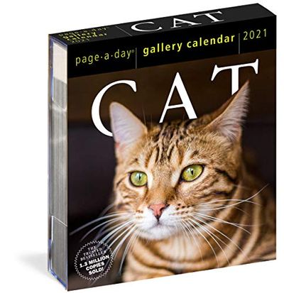 Cat Page-A-Day Gallery Calendar 2021 $18.75 (Reg $26.99)