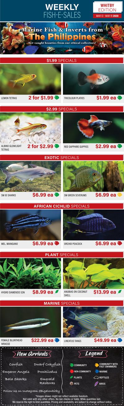 Big Al's (Whitby) Weekly Specials March 13 to 19 Big Al's (Whitby) Weekly Specials March 13 to 19