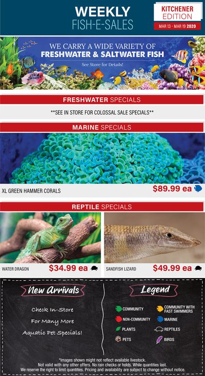Big Al's (Kitchener) Weekly Specials March 13 to 19