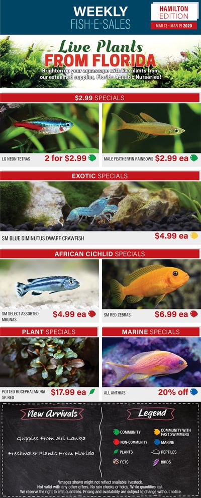 Big Al's (Hamilton) Weekly Specials March 13 to 19