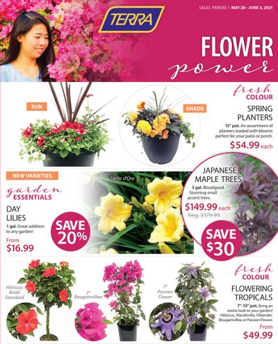 Terra Greenhouses Flyer May 28 to June 3