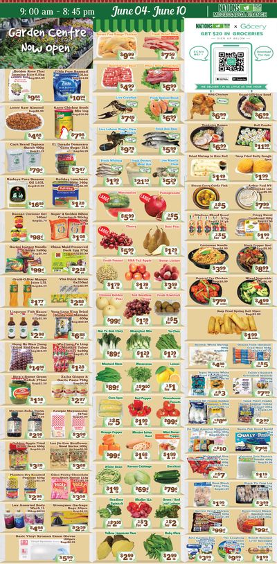 Nations Fresh Foods (Mississauga) Flyer June 4 to 10