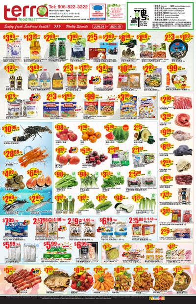 Terra Foodmart Flyer June 4 to 10