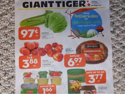 Giant Tiger Canada Flyer Deals June 9th – 15th