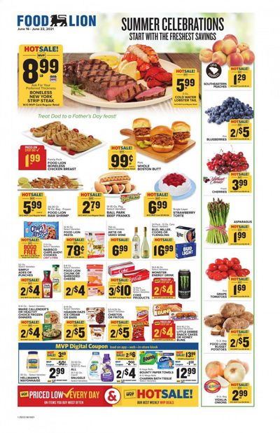 Food Lion (SC) Weekly Ad Flyer June 16 to June 22
