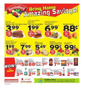 Hannaford (MA) Weekly Ad Flyer June 20 to June 26