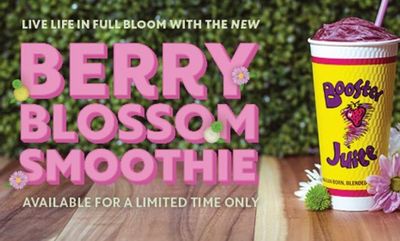 Berry Blossom Smoothie at Booster Juice