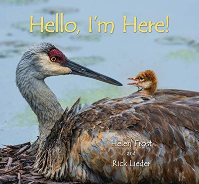 Hello, I'm Here! $15.23 (Reg $22.99)