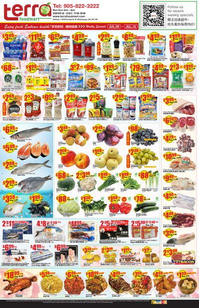 Terra Foodmart Flyer July 9 to 15