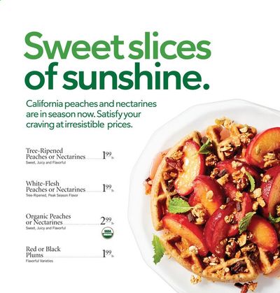 Publix (AL, FL, GA, NC, SC, TN) Weekly Ad Flyer July 8 to July 14