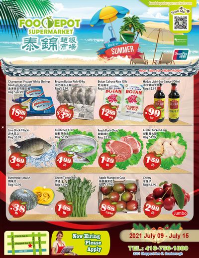 Food Depot Supermarket Flyer July 9 to 15