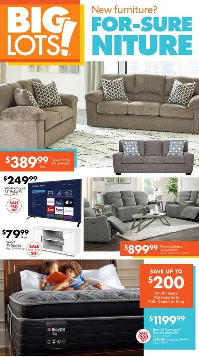 Big Lots Weekly Ad Flyer July 10 to July 17