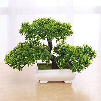 Zehui None Bonsai, 1pcs, Green $12.49 (Reg $13.99)