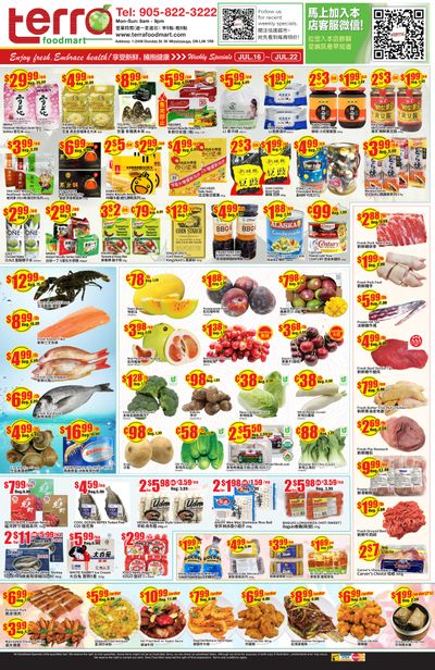 Terra Foodmart Flyer July 16 to 22