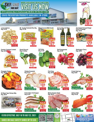 Skyland Food Mart Flyer July 16 to 22