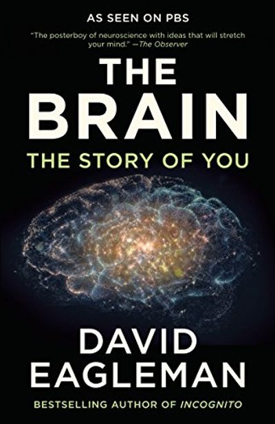 The Brain: The Story of You $14.34 (Reg $22.00)