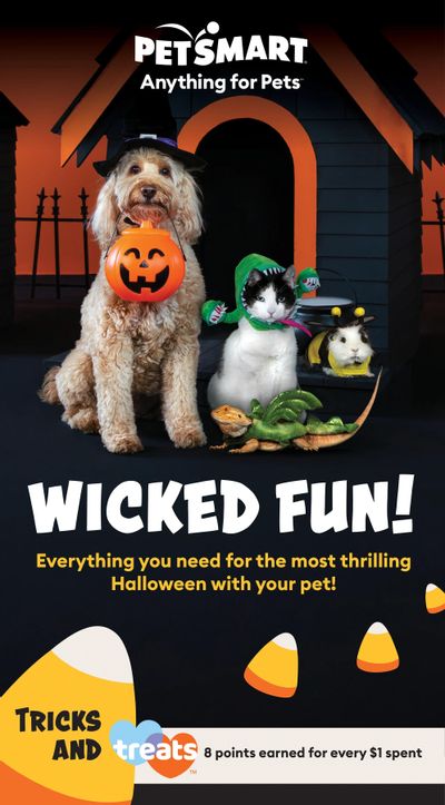 PetSmart Wicked Fun Flyer September 1 to October 31