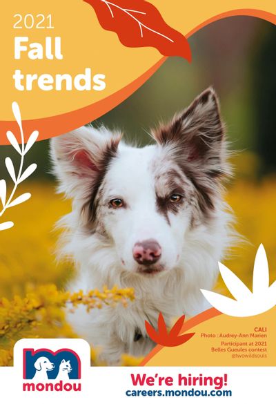 Mondou Fall Trends Flyer September 16 to October 13