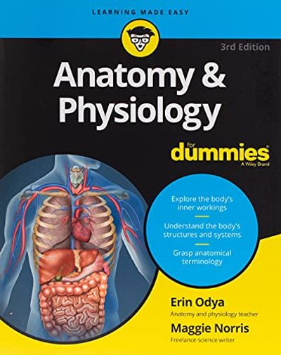 Anatomy & Physiology For Dummies $14.84 (Reg $29.99)