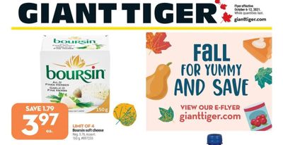 Giant Tiger Canada Flyer Deals October 6th – 12th