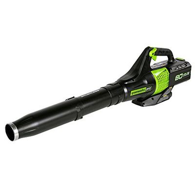 Greenworks PRO 80V 145 MPH - 580 CFM Cordless Jet Blower, Battery Not Included BL80L00 $107.03 (Reg $159.00)