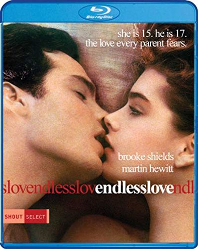 Endless Love [Blu-ray] $16.99 (Reg $25.73)