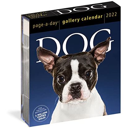Dog Page-A-Day Gallery Calendar 2022: Stunning portraits that speak to the dog lovers soul. $17.63 (Reg $26.99)