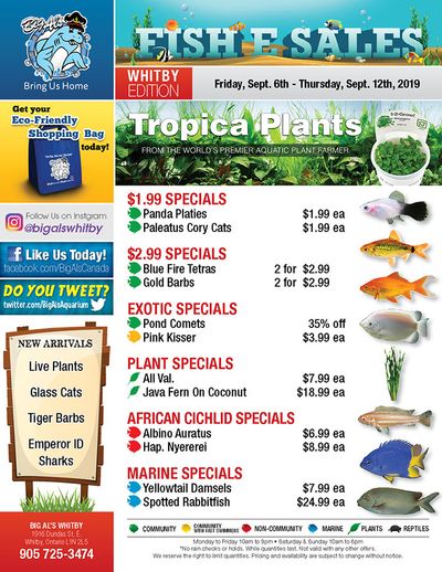 Big Al's (Whitby) Weekly Specials September 6 to 12