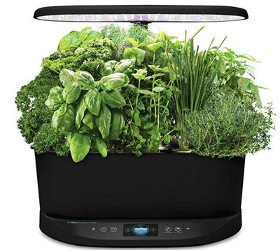 AeroGarden Bounty Basic For $299.95 At Amazon Canada