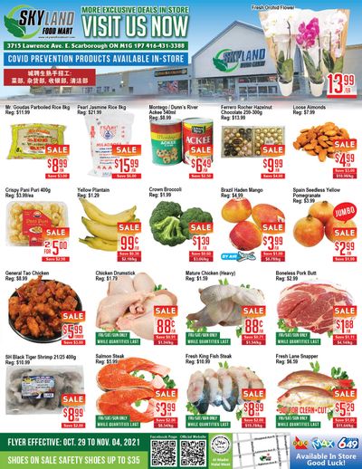 Skyland Food Mart Flyer October 29 to November 4