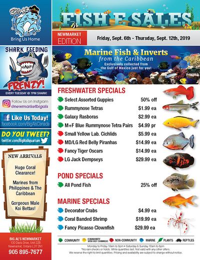 Big Al's (Newmarket) Weekly Specials September 6 to 12